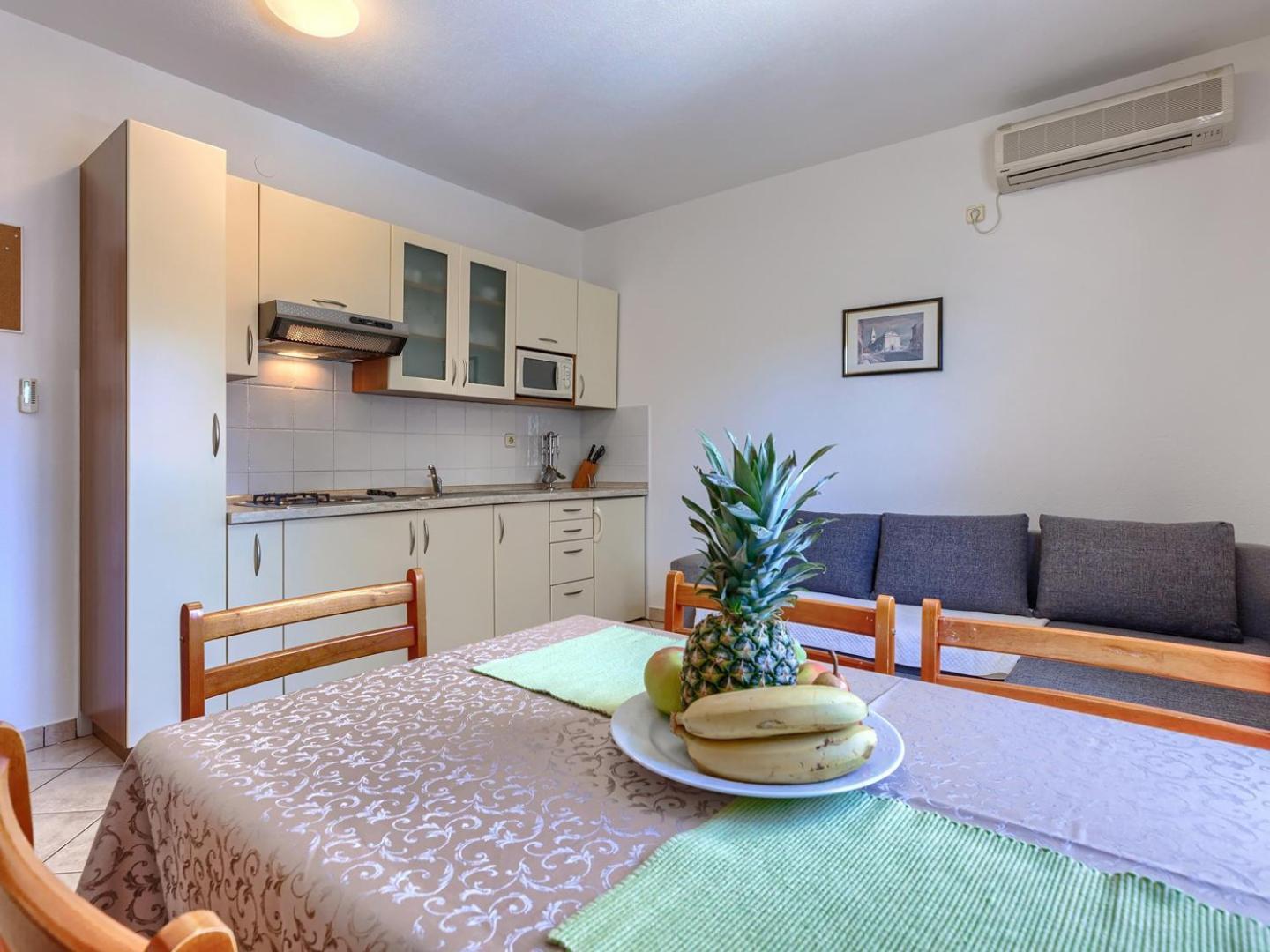 Nino With Shared Pool Guest house Porec